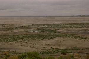 10416639_245650108960724_2950671783786338079_n