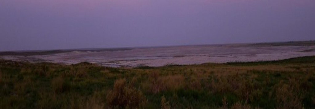 El Portal is seeking&nbsp;submissions