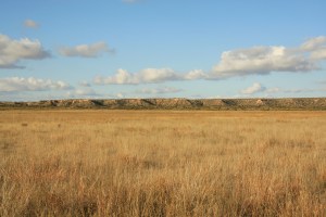 Llano Estacado, Caprock Image byLeaflet (CC BY-SA 3.0). Found on Wikimedia Commons. 